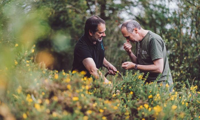 Foraging for botanicals